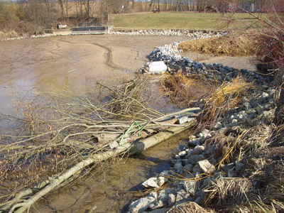 Totholzburgen und Flachwasserzone im Zuchtteich