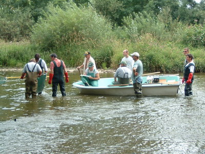 Fischbergung mit Elektrofischerei