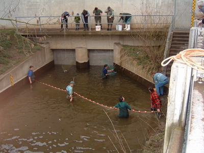 Fischbergung mit Netzen