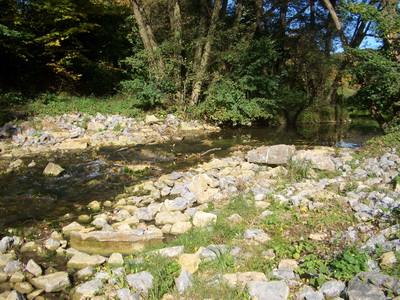 rckgebaute Wehranlage (2,5m Hhendifferenz) an der Schefflenz