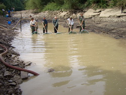 Fischbergung im trockengelegten Unterwasserkanal der Wasserkraftanlage