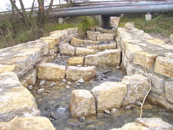 Fischauftsieg an der Mndung des Bllinger Baches in den Alten Neckar bei Neckarsulm